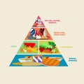 Healthy food pyramid vector poster in flat style design. Different groups of products