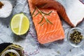 Fresh Raw Salmon Fillet and Ingredients for Cooking