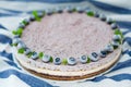 Healthy food raw vegan frozen blueberry cake