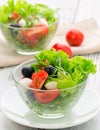 Healthy food - salad with mozzarella, arugula