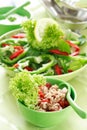 Healthy food, salad with tunny Royalty Free Stock Photo