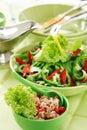 Healthy food, salad with tunny Royalty Free Stock Photo