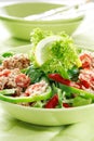 Healthy food, salad with tunny Royalty Free Stock Photo