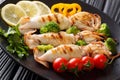 Healthy food seafood: grilled squid with fresh vegetables close-up on a plate on a wooden. horizontal Royalty Free Stock Photo