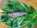 Healthy food. Squalius cephalus. Spinacia oleracea.