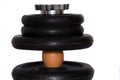 Egg not cracking under pressure of dumbell weights