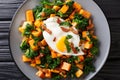 Healthy food sweet potato with kale, bacon and fried egg close-up on a plate. Horizontal top view Royalty Free Stock Photo