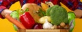 Closeup on woman grower showing box of fresh vegetables Royalty Free Stock Photo