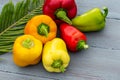 Healthy food vegetarian diet, bell peppers red, yellow and green on wooden blue background, close-up Royalty Free Stock Photo