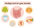 Healthy food for your intestines. Concept of food and vitamins, medicine, prevention of digestive system diseases