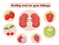 Healthy food for your kidneys infographic. Concept of food and vitamins, medicine, kidney disease prevention. Vector Royalty Free Stock Photo