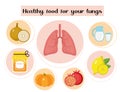 Healthy food for your lungs. Concept of food and vitamins, medicine, prevention of respiratory diseases. Vector