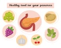 Healthy food for your pancreas. Concept of food and vitamins, medicine, prevention of pancreatic diseases. Vector