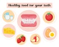 Healthy food for your teeth. Concept of food and vitamins, medicine, prevention of digestive system diseases. Vector