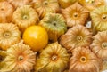 Healthy fresh Cape Gooseberry fruit Royalty Free Stock Photo