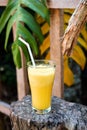 Healthy Fresh Exotic Smoothie Cocktail Beverage