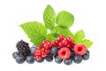 Healthy fresh food berries group. Macro shot of fresh raspberries, blueberries, blackberries, red currant and blackberry with Royalty Free Stock Photo