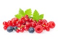 Healthy fresh food berries group. Fresh raspberries, blueberries, blackberries and red currant with leaves isolated on white Royalty Free Stock Photo