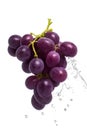 Healthy Fresh Grapes with a Splash of Water