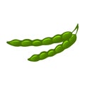 Green Beans Color Illustration Design