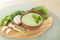 Healthy fresh green chutney sauce. With fresh mint pudina and yogurt. Spicy indian cuisine. Served on brown bowl with Royalty Free Stock Photo