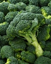 Healthy Fresh Green raw Broccoli. background, texture. Royalty Free Stock Photo