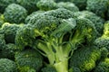 Healthy Fresh Green raw Broccoli. background, texture. Royalty Free Stock Photo