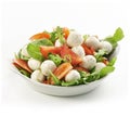 Healthy fresh rucola salad with mozarella and tomato slices Royalty Free Stock Photo