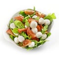 Healthy fresh rucola salad with mozarella and tomato slices Royalty Free Stock Photo