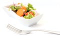 Healthy Fresh Salad Royalty Free Stock Photo