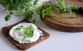 Healthy fresh sandwich with cheese and Winter Purslane Claytonia perfoliata . You can use them in fresh vegetable salads. The Wint Royalty Free Stock Photo