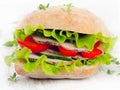 Healthy Fresh sandwich Royalty Free Stock Photo