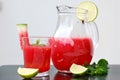 Healthy fresh smoothie drink from red watermelon, lime, mint and ice drift Royalty Free Stock Photo