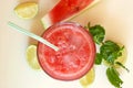 Healthy fresh smoothie drink from red watermelon, lime, mint and ice drift Royalty Free Stock Photo