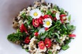 Healthy fresh spring salad bowl. Quinoa with vegetables and black lentils beluga and daisies Royalty Free Stock Photo