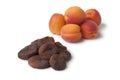 Healthy fresh and sun dried apricot fruit Royalty Free Stock Photo