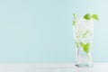 Healthy fresh tonic with green mint, ice cubes, soda, striped straw in misted glass on white wood table, pastel green color .