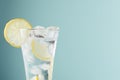 Healthy fresh tonic with lemon, ice cubes, soda in misted glass on pastel green color background, closeup, half, details, top.