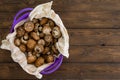 Healthy fresh uncooked Baby Bella mushrooms Royalty Free Stock Photo