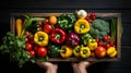 Healthy of Fresh Vegetables a farmer a basket of freshly harvested vegetables.The vibrant assortment of broccoli, tomatoes, and