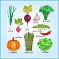 Healthy fresh vegetables icons