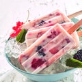 Healthy frozen yogurt and berry popsicles Royalty Free Stock Photo