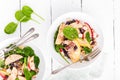 Healthy fruit and berry salad with fresh apples, cranberries, walnuts, italian ricotta cheese and spinach leaves. Delicious and nu Royalty Free Stock Photo