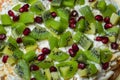 Healthy fruit salad kiwi and pomegranate close up