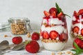 Healthy fruit yogurt parfait with granola, mint and fresh raspberries in glasses on white wooden table Royalty Free Stock Photo