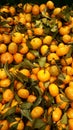 Healthy fruits, mandarin fruits background. Orange fruit background. Mandarin fruits at market store