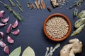 Healthy gluten free grains - green lentils on slate background