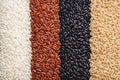 Healthy Grain Assortment: White, Red, Black, and Brown Rice AI-GENERATED Royalty Free Stock Photo