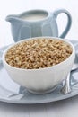 Healthy granola croustillant