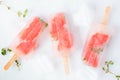 Healthy grapefruit and thyme popsicles, top view scattered on marble